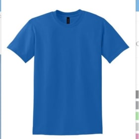 T-shirt, adult 4X item