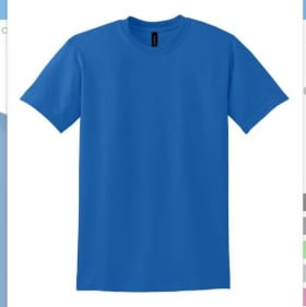 T-shirt, adult 5X item