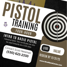 Pistol Training by Scott Newman item
