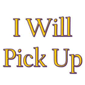 Pick Up at State Convention or Post 3596 item