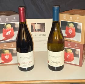 Wine tasting extravaganza #1 item