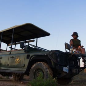 ✨ A Safari That Feeds the Soul ✨ item