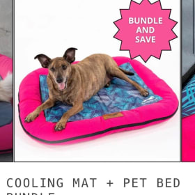Pink dog bed medium with cooling mat item