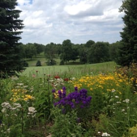 4 Rounds of Golf at Dahlgreen Golf Club item