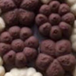 Chocolate Butter Cookies item