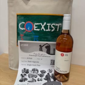 Date Night Scavenger Hunt 2 item