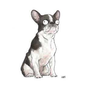 Custom Pet Portrait - Aerica Raven item