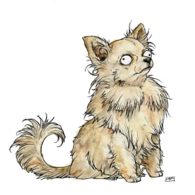 Custom Pet Portrait - Aerica Raven item