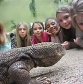 Eco Adventures - 4 Jungle Express Passes item