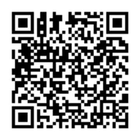 Silent Auction A Link item