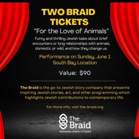 305 - Tickets to Enjoy one Braid Show (South Bay location) item