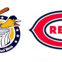 The Baseball Bundle item