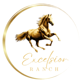 Horsemanship Class for 4 item