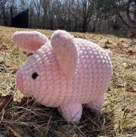 Piggie (pink) item