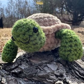 Tortoise item
