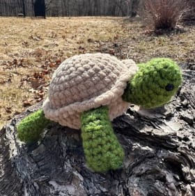 Tortoise item