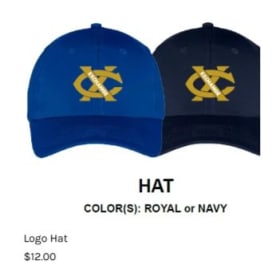 Logo Hat item