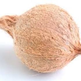 Coconuts item