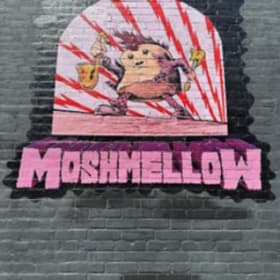 Lot # 58 MOSH! Donated By: Moshmellow Value $180 item