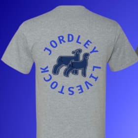 Light Grey T-shirt item