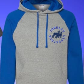 Blue/Grey Hoodie item