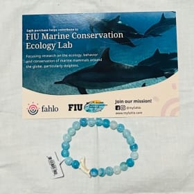 Lot # 19 Bill the Dolphin! Donated By Fahlo Value: $ 16.95 item