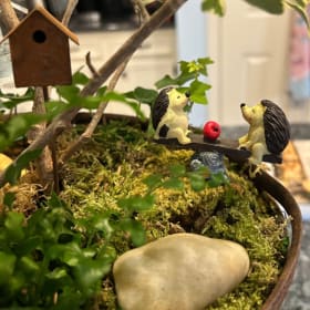 ITEM#20: Money Tree Fairy Garden item