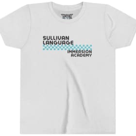 Retro Check (ash) item