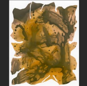 Symbiotic Relatives: Early Autumn Breeze on Kezar Lake item