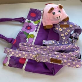 Daisy pkg tote bag, New dog toy & XS harness/6ft leash combo item