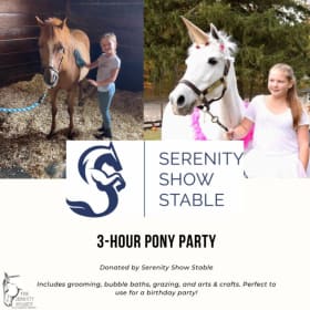 Pony Party by Serenity Show Stable item