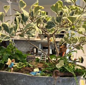 ITEM#20: Money Tree Fairy Garden item