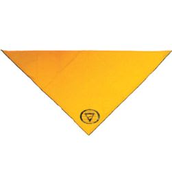 Pathfinder Scarf (Teen size) item