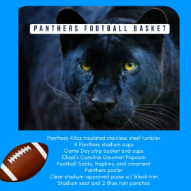 Panthers Football Fan Basket item