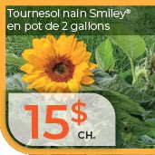 Tournesol item