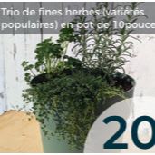 Trio fines herbes item