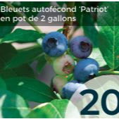 Bleuets Patriot item