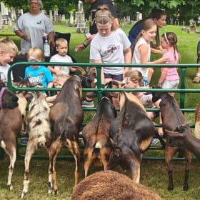 Petty Zoo - Friday item