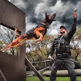 Exclusive Toronto Police Dog Services Experience item