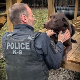 Exclusive Toronto Police Dog Services Experience item