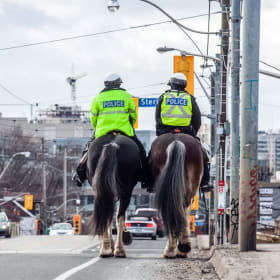 Exclusive Toronto Police Mounted Unit Experience item