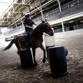 Exclusive Toronto Police Mounted Unit Experience item