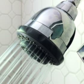 54. Paragon Shower Filter item