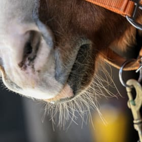 A Basket of BITS [Value: Priceless] item