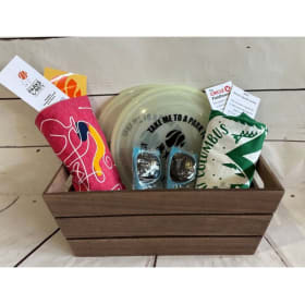 LIVE AUCTION *PRE-VIEW ONLY* item