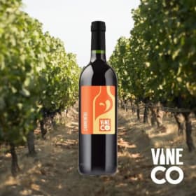 Pivo Vino Bru-In - $50 Gift Certificate to a Wine Making Kit item