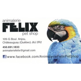 #147 - Gift Certificate from Pet Shop Félix item