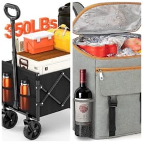 Collapsible Wagon and Cooler Backpack item