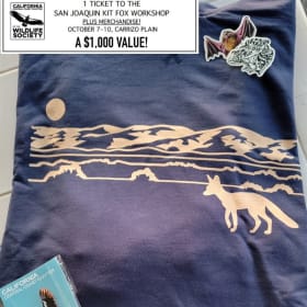 CCCC-TWS San Joaquin Kit Fox Workshop Bundle item