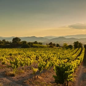 South of France Private Home for (8) item